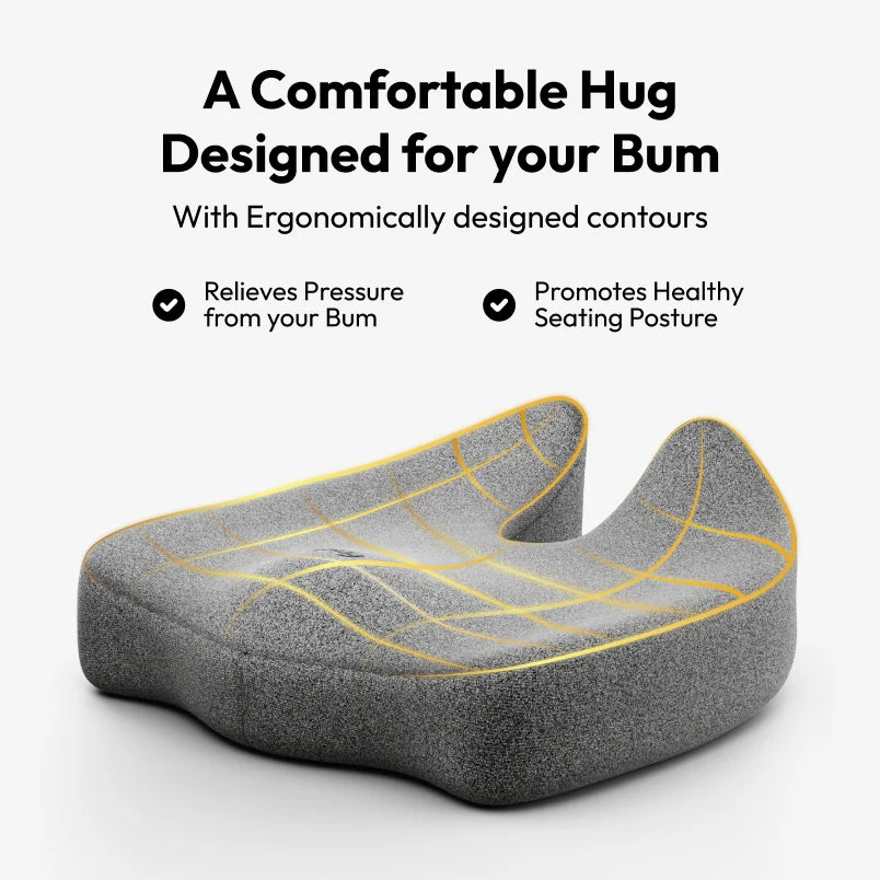 Ultimate Comfort Duo – Cushion + Support Like Never Before