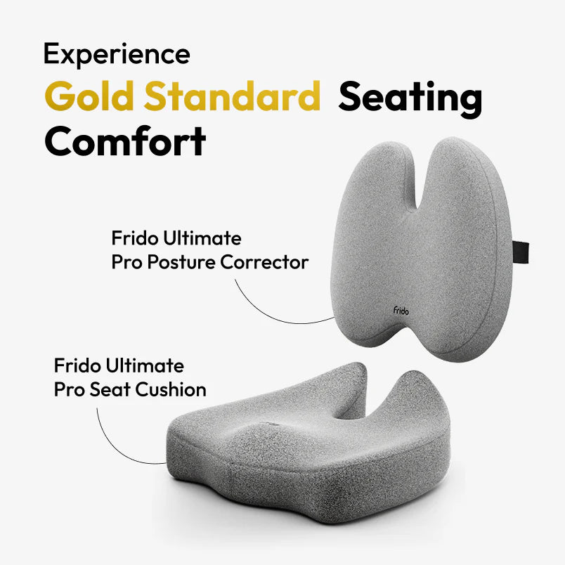 Ultimate Comfort Duo – Cushion + Support Like Never Before